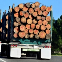 iFinanses.lv Bizness 