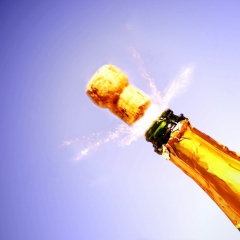 Valsts darba inspekcija