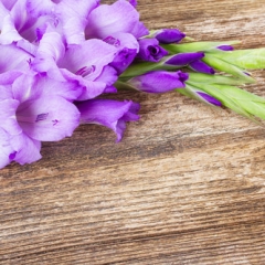 Valsts darba inspekcija 